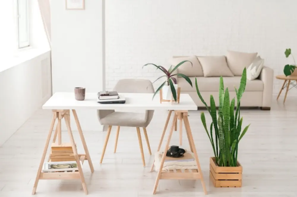 Why Choose a Minimalist Home
